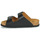 Schoenen Dames Leren slippers Scholl NOELLE Zwart