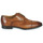 Schoenen Heren Derby Pellet ANTOINE Kalf / Cognac