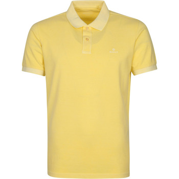 Textiel Heren T-shirts & Polo’s Gant Sunfaded Polo Geel Geel