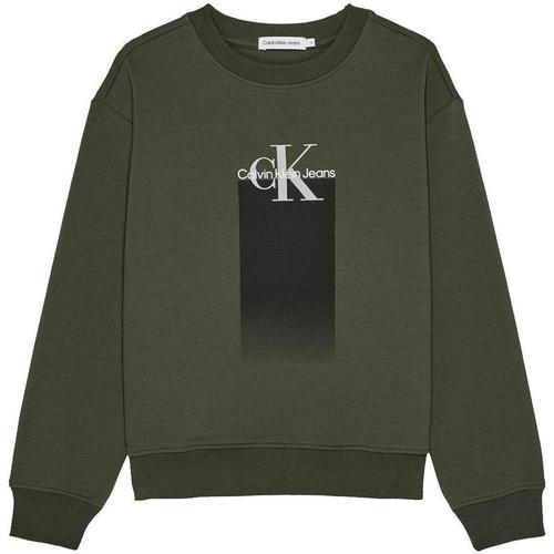 Textiel Jongens Sweaters / Sweatshirts Calvin Klein Jeans  Groen