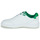 Schoenen Heren Lage sneakers Puma PUMA Backcourt Wit / Groen