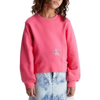 Textiel Meisjes Sweaters / Sweatshirts Calvin Klein Jeans  Roze