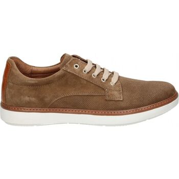 Schoenen Heren Derby & Klassiek Zen 8944 Bruin