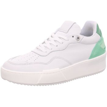 Schoenen Dames Sneakers Palpa  Wit