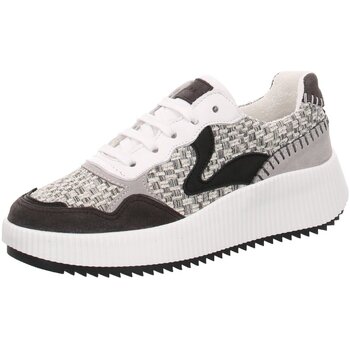 Schoenen Dames Sneakers Palpa  Grijs