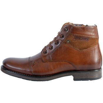 Schoenen Heren Laarzen Redskins 154993 Bruin