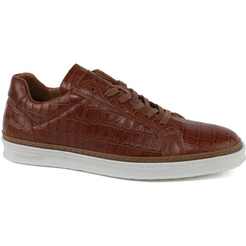 Schoenen Heren Mocassins Cycleur De Luxe Sneaker Beaumont Cognac Bruin