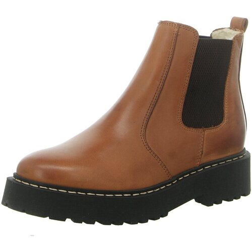 Schoenen Dames Laarzen Palpa  Bruin