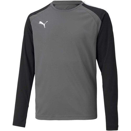 Textiel Kinderen T-shirts & Polo’s Puma Teampacer Gk Ls Jersey Jr Grijs