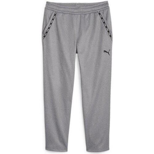 Textiel Heren Broeken / Pantalons Puma  Grijs