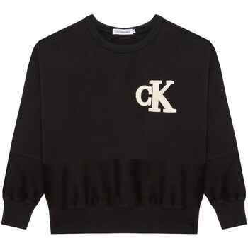 Textiel Jongens Sweaters / Sweatshirts Calvin Klein Jeans IB0IB01684 Zwart