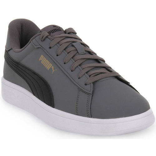 Schoenen Heren Sneakers Puma 02 SMASH 3 Grijs