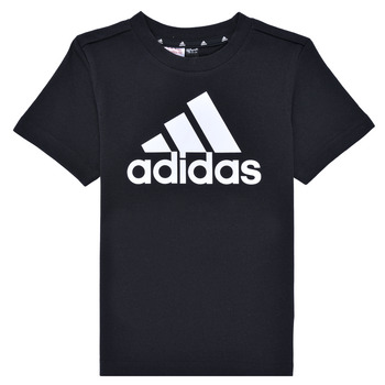 Adidas Sportswear LK BL CO TEE