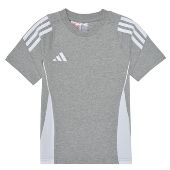 Textiel Kinderen T-shirts korte mouwen adidas Performance TIRO24 SWTEEY Grijs / Wit