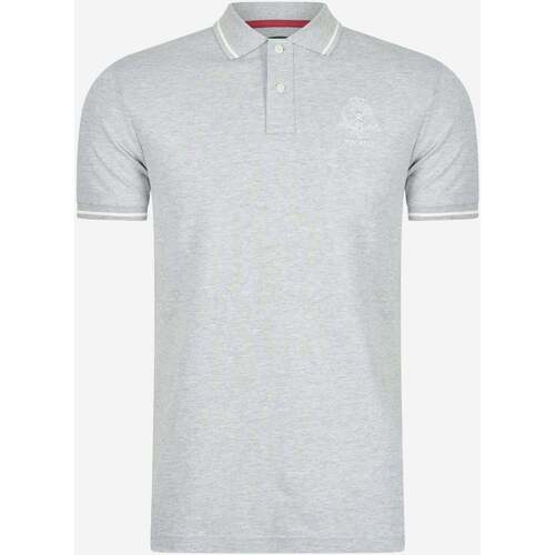 Textiel Heren T-shirts & Polo’s Hackett Heritage logo polo Grijs