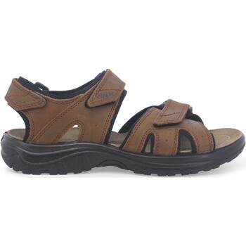 Schoenen Heren Sandalen / Open schoenen Melluso U55221W-233722 Bruin