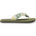 Schoenen Dames Teenslippers Brasileras Hibiscus Nudo Groen