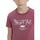 Textiel Jongens T-shirts korte mouwen Levi's  Rood