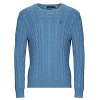 Textiel Heren Truien Polo Ralph Lauren PULL COL ROND EN MAILLE TORSADEE Blauw / Blauw