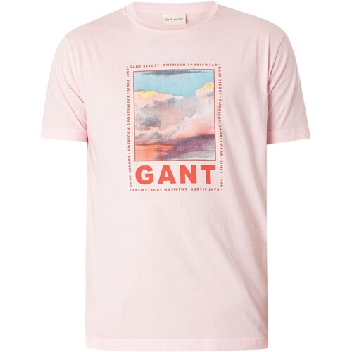 Textiel Heren T-shirts korte mouwen Gant Gewassen grafisch T-shirt Roze