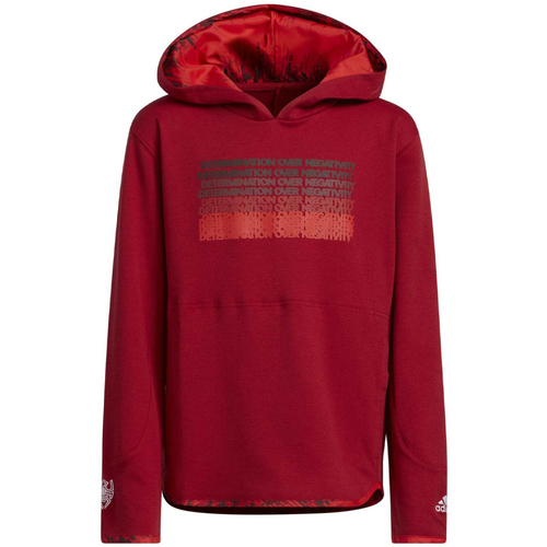 Textiel Jongens Sweaters / Sweatshirts adidas Originals  Rood