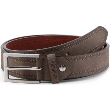 Accessoires Heren Riemen Carrera Bruine riem voor heren van Bruin