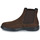 Schoenen Heren Laarzen Stonefly FOREVER 4 Bruin