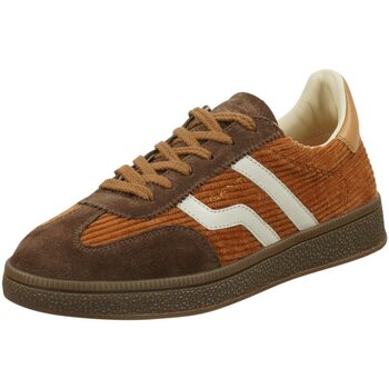 Schoenen Dames Sneakers Gant  Bruin