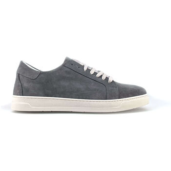 Schoenen Heren Sneakers Duca Di Morrone Brando - Suede Gray Grijs