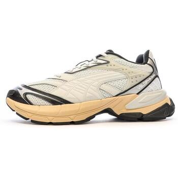 Schoenen Jongens Lage sneakers Puma  Beige