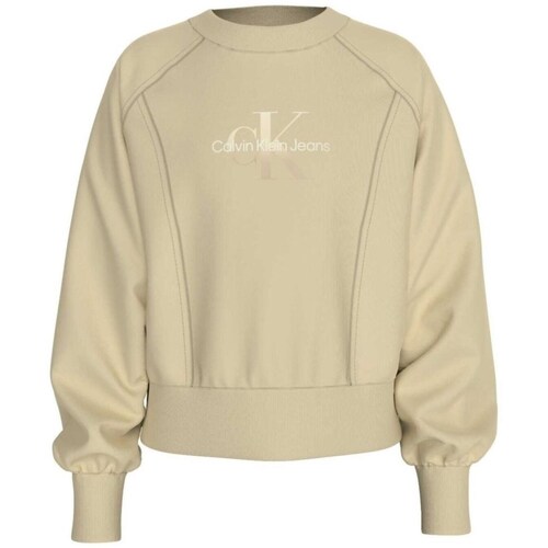 Textiel Meisjes Sweaters / Sweatshirts Calvin Klein Jeans IG0IG02539 Beige