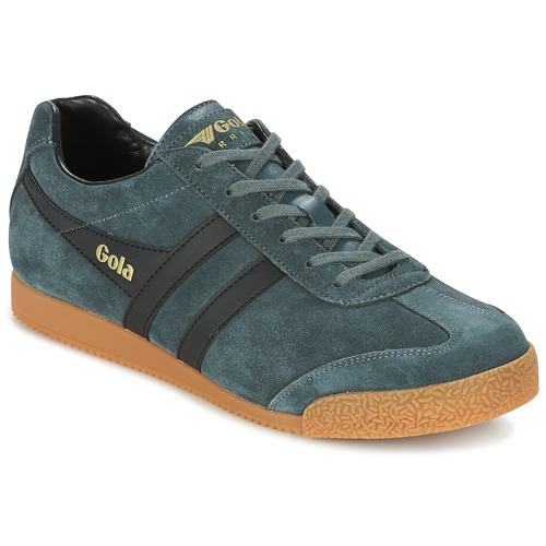 Schoenen Heren Lage sneakers Gola HARRIER Grijs / Zwart