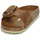 Schoenen Dames Leren slippers Birkenstock MADRID BIG BUCKLE Bruin