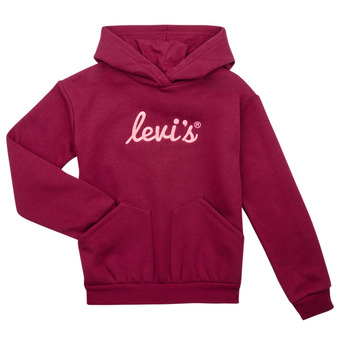 Levi's LVG POSTER LOGO HOODIE