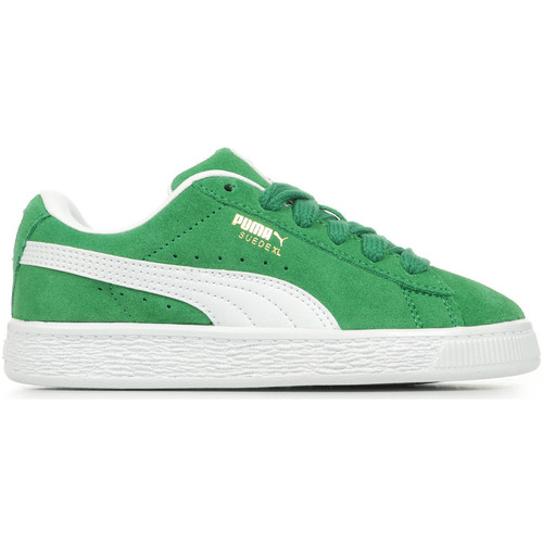 Buty Dziecko Trampki Puma Suede Xl Ps Zielony