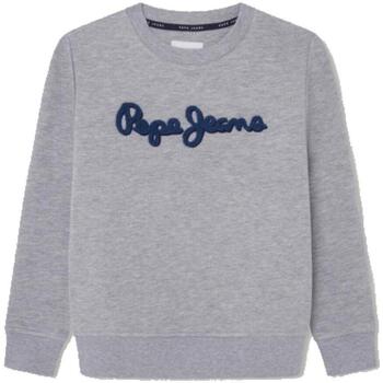 tekstylia Chłopiec Bluzy Pepe jeans  Szary