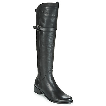 Sapatos Mulher Botas Dorking DULCE Preto