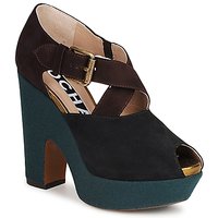 Sapatos Mulher Escarpim Rochas NINFEA Castanho / Azul