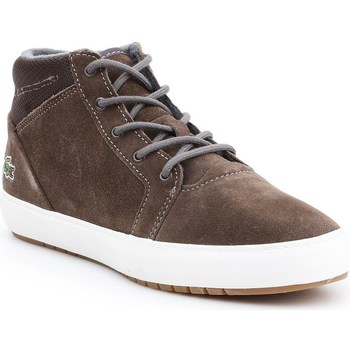 Sapatos Mulher Botas baixas Lacoste Ampthill Chukka 417 1 Caw Castanho