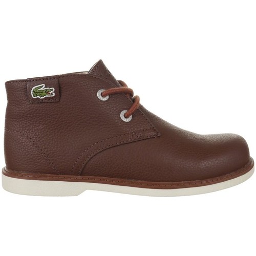 Sapatos Criança Botas baixas Lacoste Sherbrook HI SB Spc Castanho