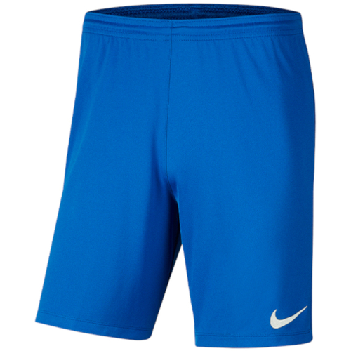 Textil Homem Calças curtas Nike Park III Shorts Azul