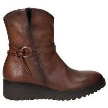 Sapatos Mulher Botins Dorking D8688 Castanho