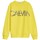 Textil Rapariga Sweats Calvin Klein Jeans IG0IG01006 LOGO SWEATSHIRT-ZHM BRIGHT SUNSHINE Amarelo