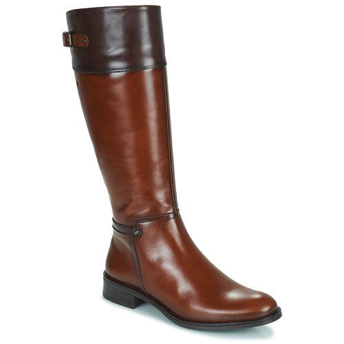 Sapatos Mulher Botas Dorking TIERRA Castanho