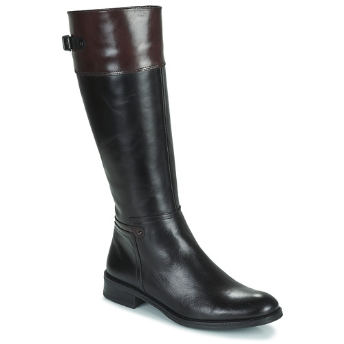 Sapatos Mulher Botas Dorking TIERRA Preto / Castanho