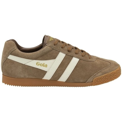 Sapatos Homem Sapatilhas Gola HARRIER SUEDE Castanho