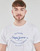 Textil Homem T-Shirt mangas curtas Pepe jeans RIGLEY Branco