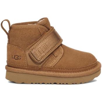 Sapatos Botas UGG  Castanho