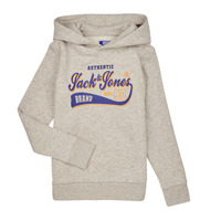 Textil Rapaz Sweats Jack & Jones JJELOGO SWEAT HOOD 2 COL 23/24 JNR Cinza