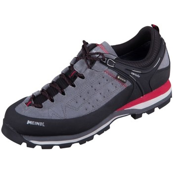 Sapatos Homem Sapatos de caminhada Meindl Literock Gtx Cinza